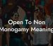 Open To Non Monogamy Meaning