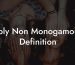 Poly Non Monogamous Definition