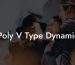 Poly V Type Dynamic