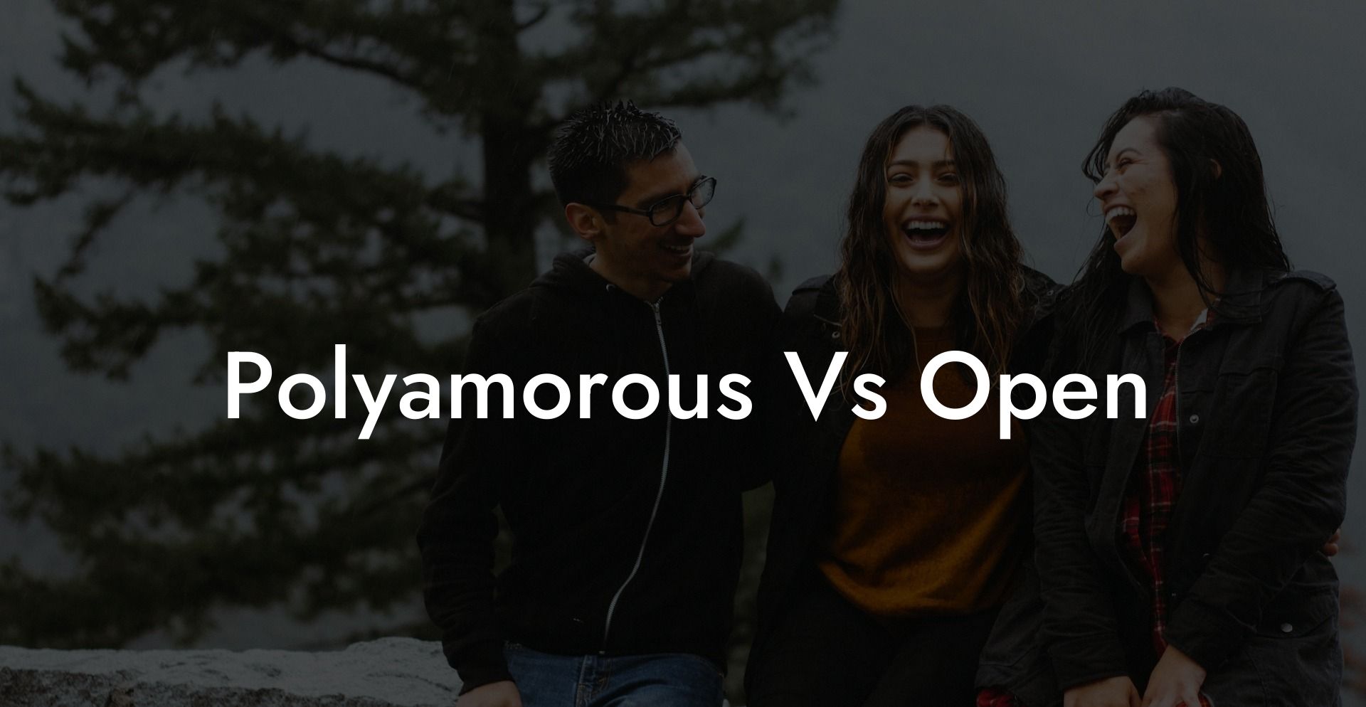 Polyamorous Vs Open