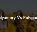 Polyamory Vs Polygamy