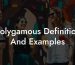 Polygamous Definition And Examples
