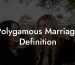 Polygamous Marriage Definition
