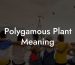 Polygamous Plant Meaning