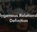 Polygamous Relationship Definition