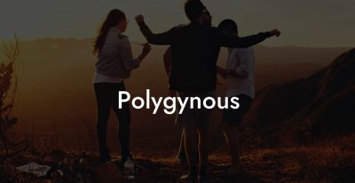 Polygynous