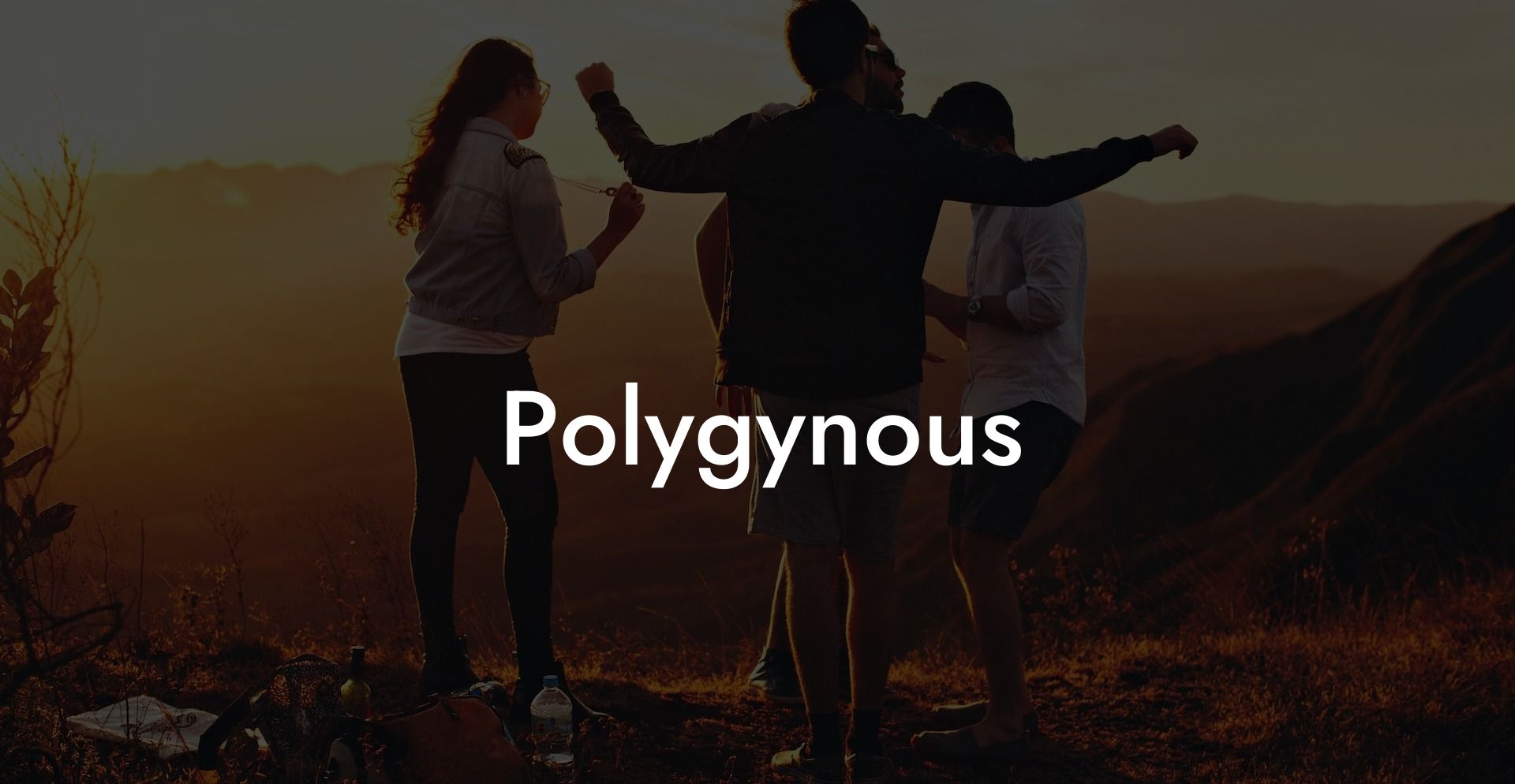 Polygynous