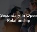 Secondary In Open Relationship