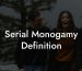 Serial Monogamy Definition