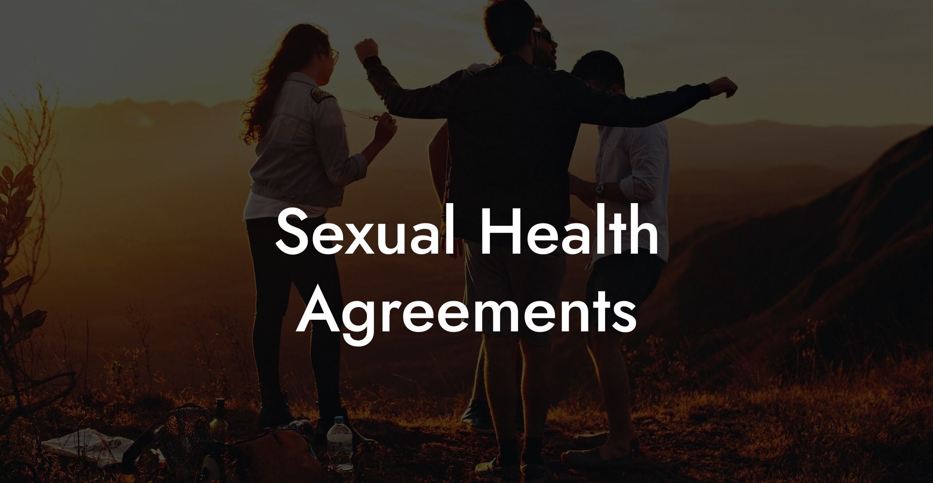 Sexual Health Agreements