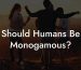 Should Humans Be Monogamous?