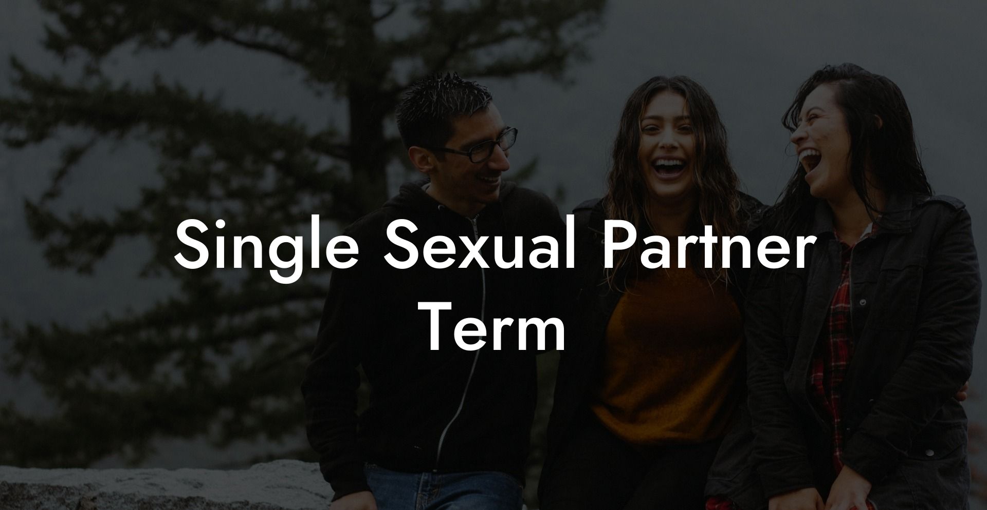 Single Sexual Partner Term