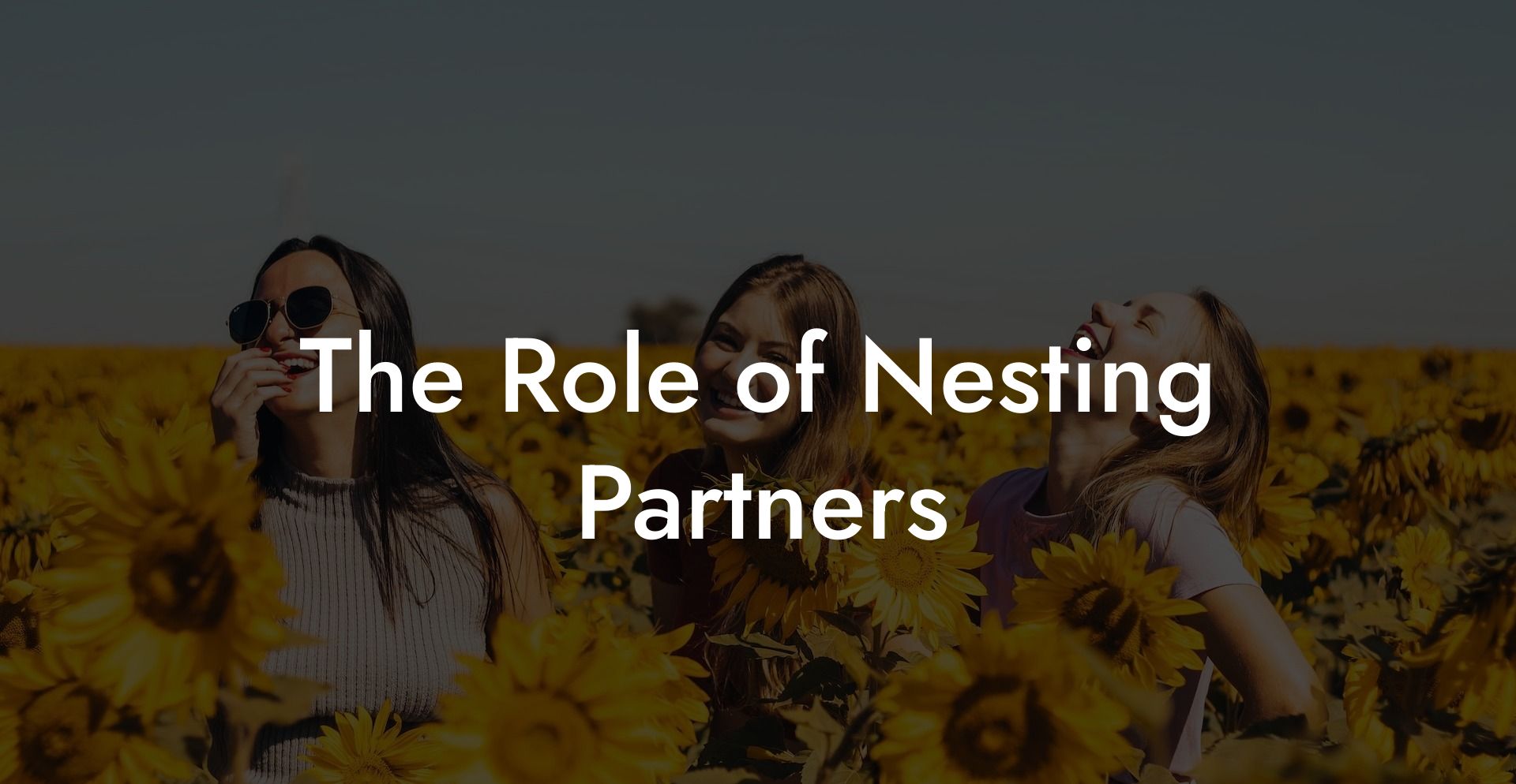 The Role of Nesting Partners