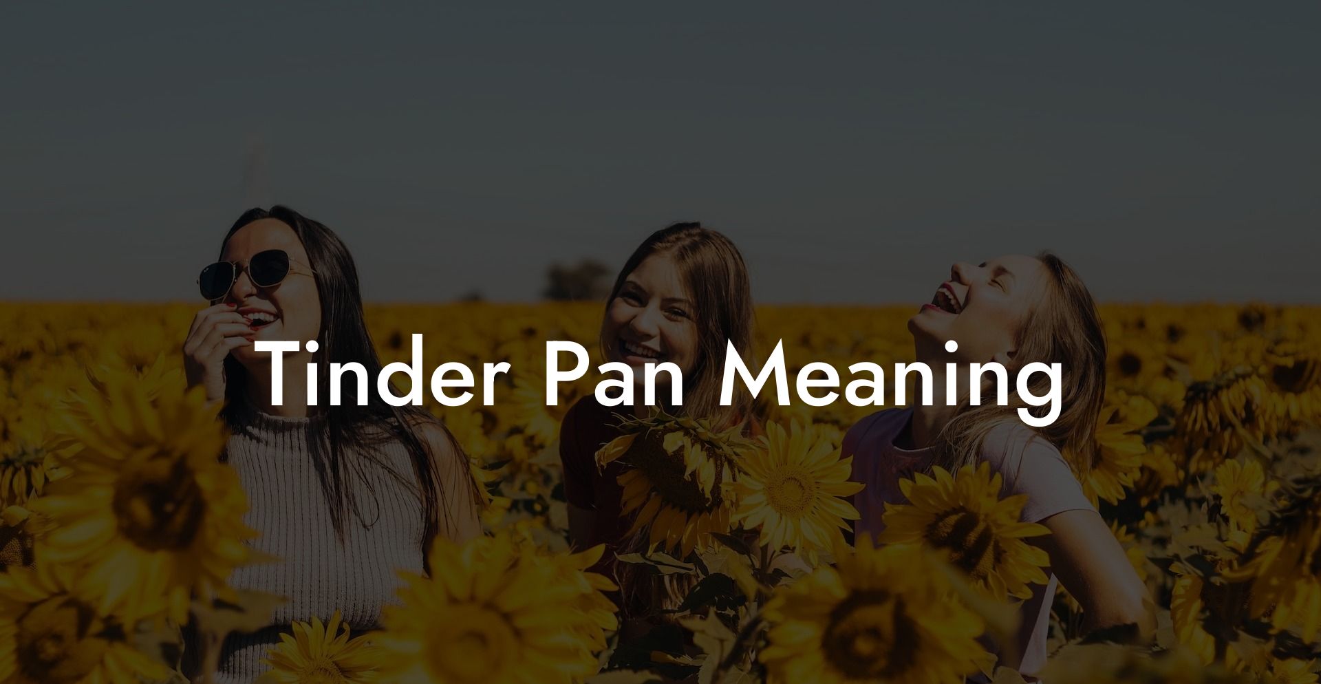 Tinder Pan Meaning