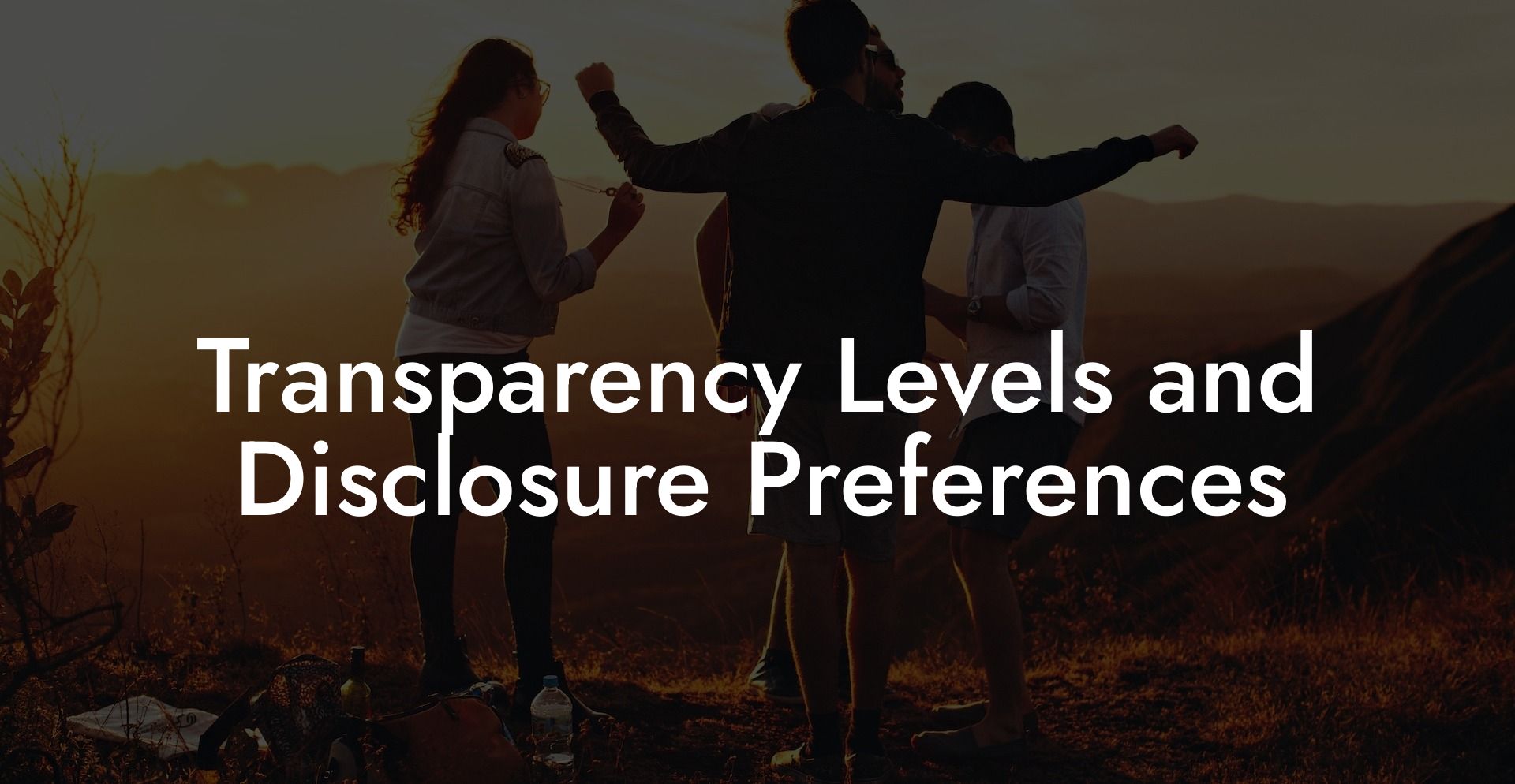 Transparency Levels and Disclosure Preferences