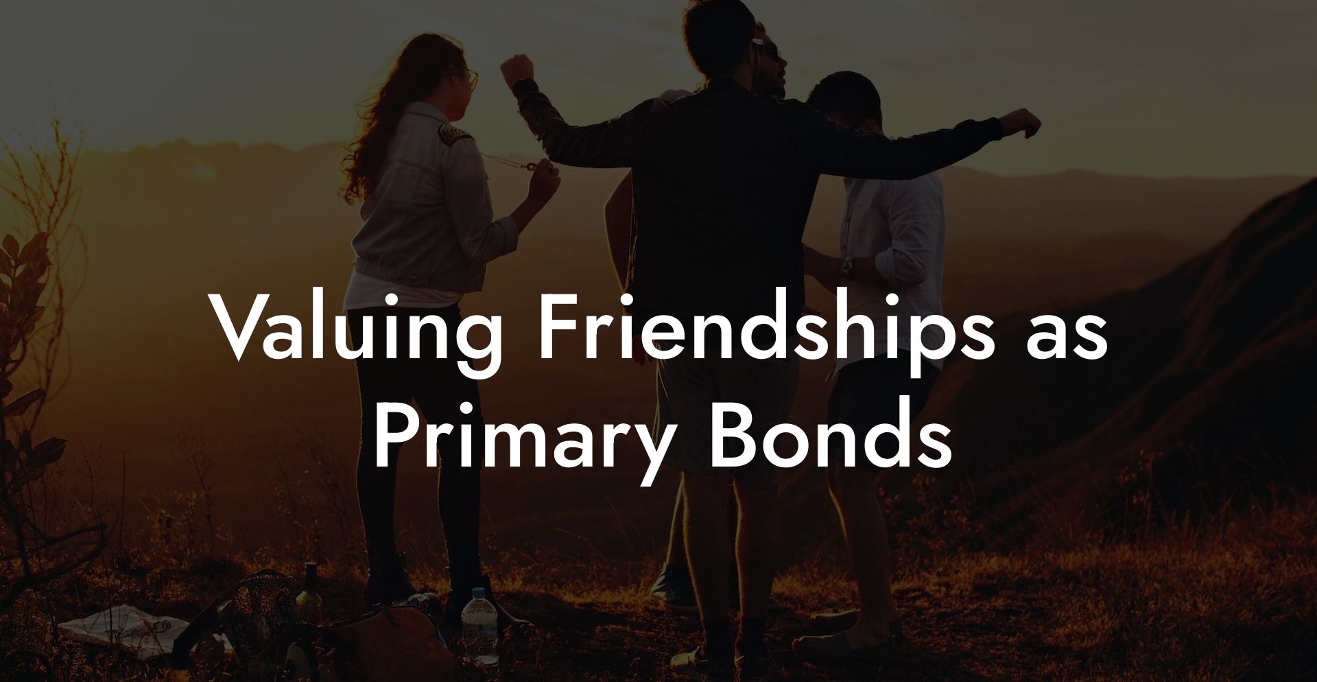 Valuing Friendships as Primary Bonds
