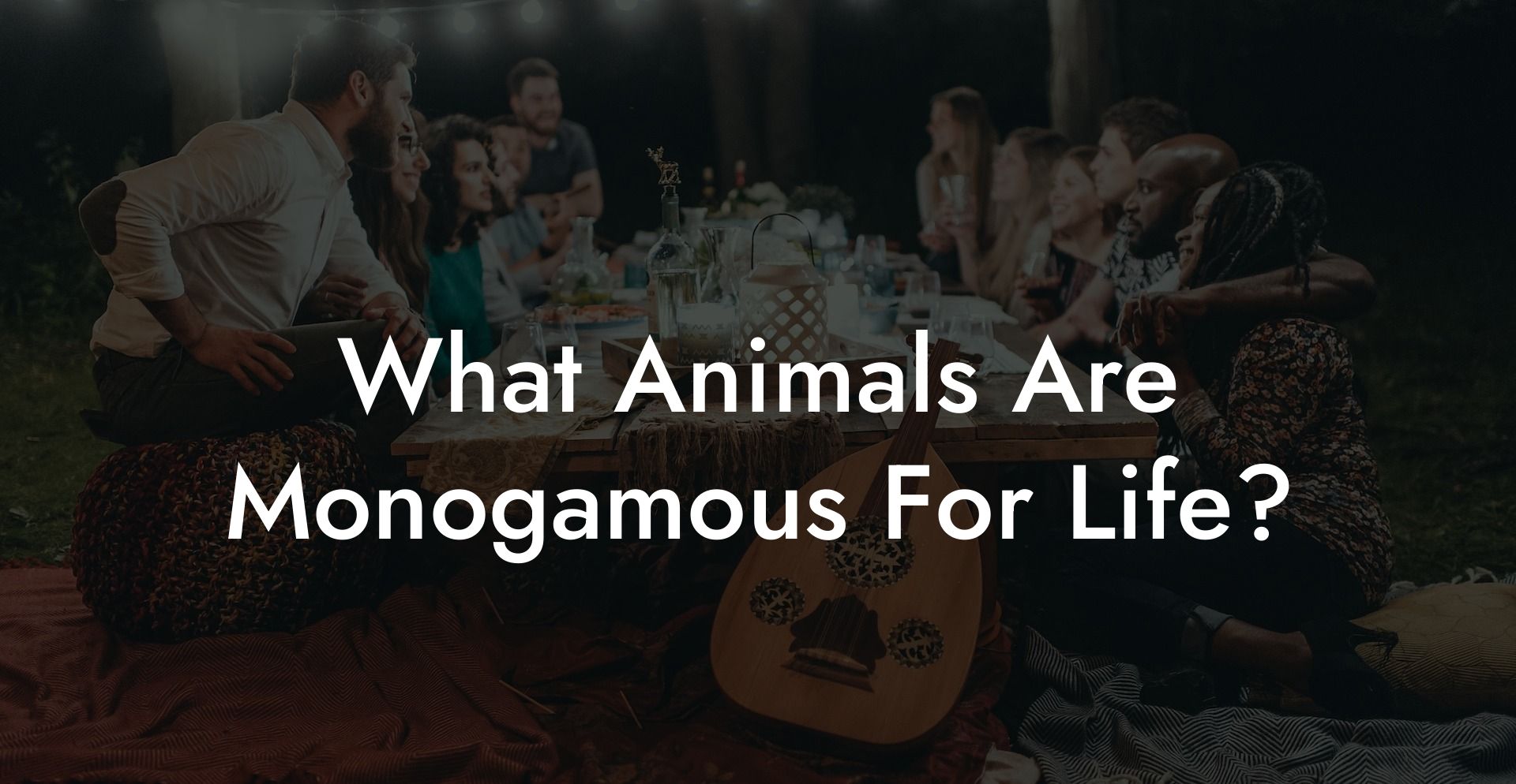 What Animals Are Monogamous For Life?