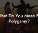 What Do You Mean By Polygamy?
