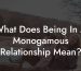 What Does Being In A Monogamous Relationship Mean?