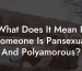 What Does It Mean If Someone Is Pansexual And Polyamorous?