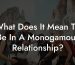 What Does It Mean To Be In A Monogamous Relationship?
