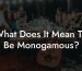 What Does It Mean To Be Monogamous?
