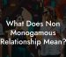 What Does Non Monogamous Relationship Mean?