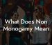 What Does Non Monogamy Mean