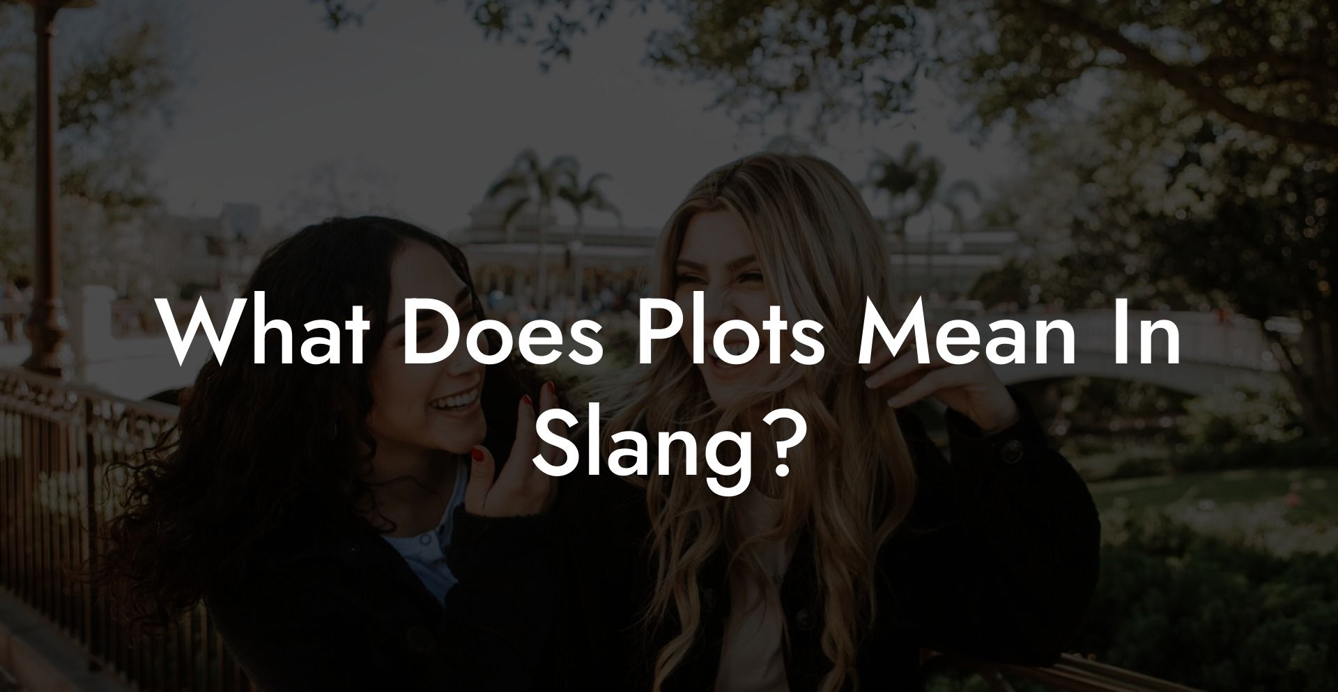 What Does Plots Mean In Slang?