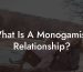 What Is A Monogamish Relationship?