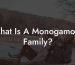 What Is A Monogamous Family?