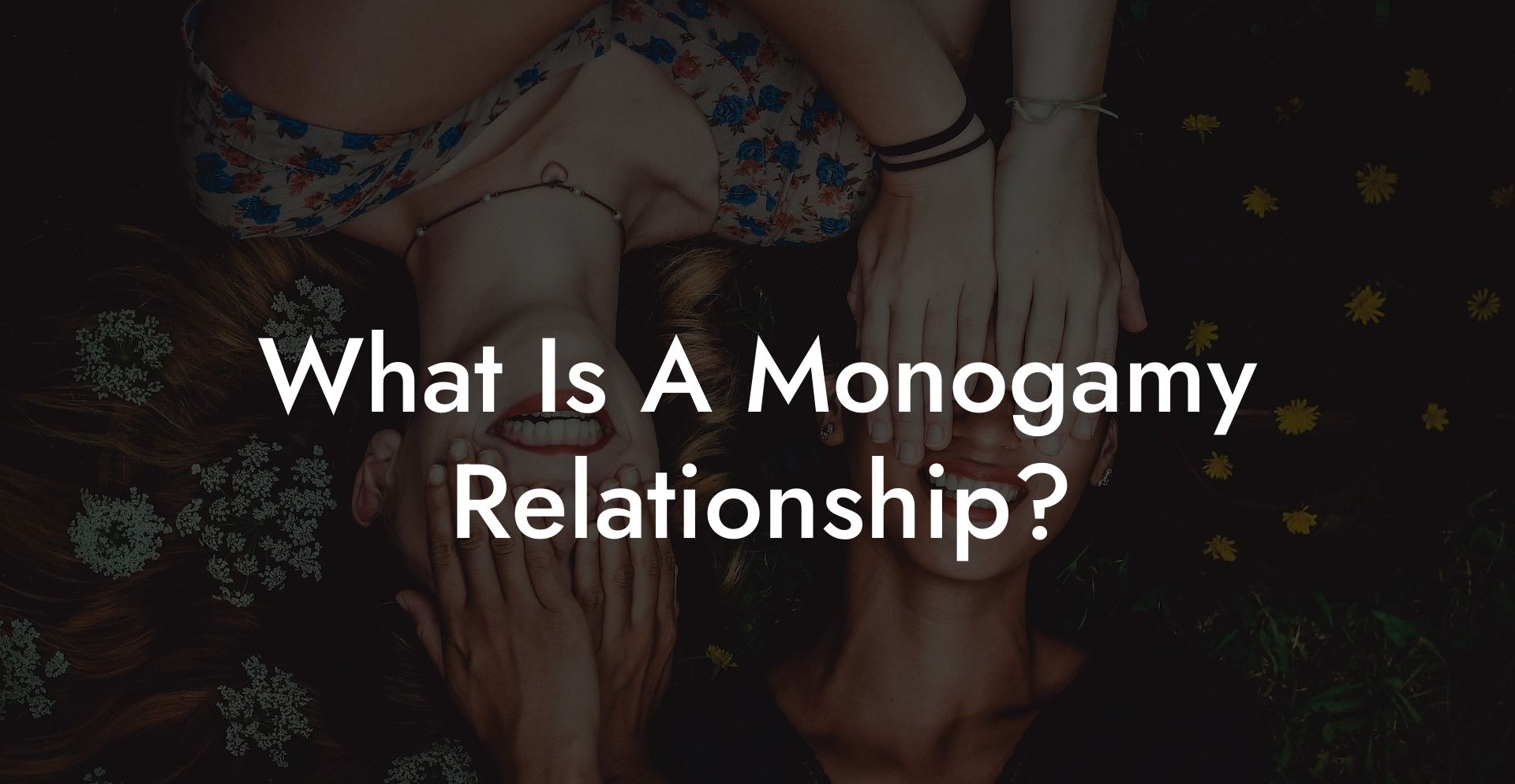 What Is A Monogamy Relationship?