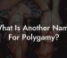 What Is Another Name For Polygamy?