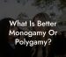 What Is Better Monogamy Or Polygamy?