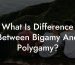 What Is Difference Between Bigamy And Polygamy?