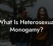 What Is Heterosexual Monogamy?