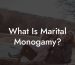 What Is Marital Monogamy?
