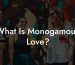 What Is Monogamous Love?