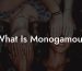 What Is Monogamous