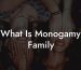 What Is Monogamy Family