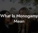 What Is Monogamy Mean
