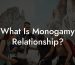 What Is Monogamy Relationship?