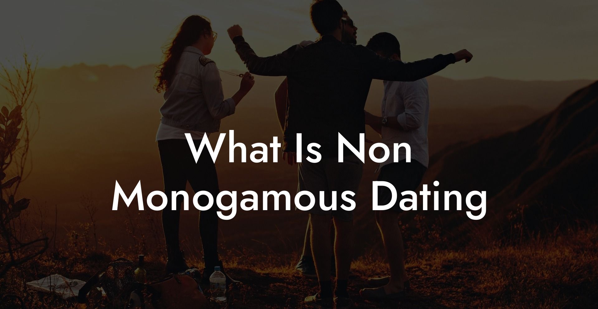 Non Monogamous Relationship Meaning The Monogamy Experiment