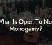 What Is Open To Non Monogamy?