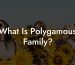 What Is Polygamous Family?