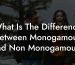 What Is The Difference Between Monogamous And Non Monogamous?
