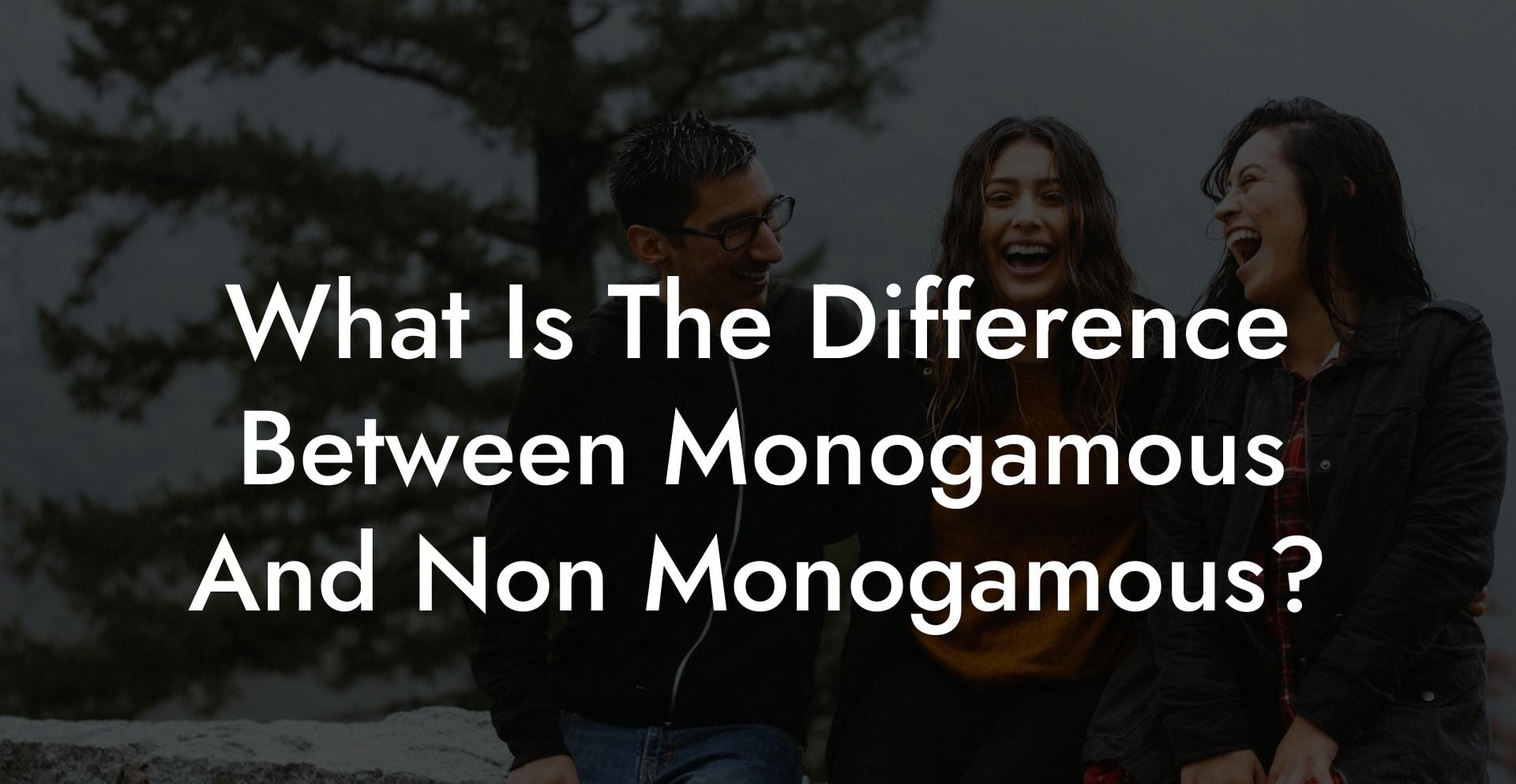 What Is The Difference Between Monogamous And Non Monogamous?