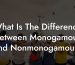 What Is The Difference Between Monogamous And Nonmonogamous?