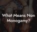 What Means Non Monogamy?