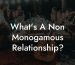 What's A Non Monogamous Relationship?